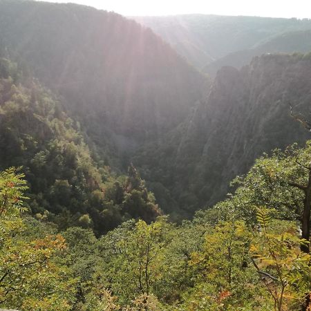 Ferienwohnung Kahlenberg Thale Zewnętrze zdjęcie
